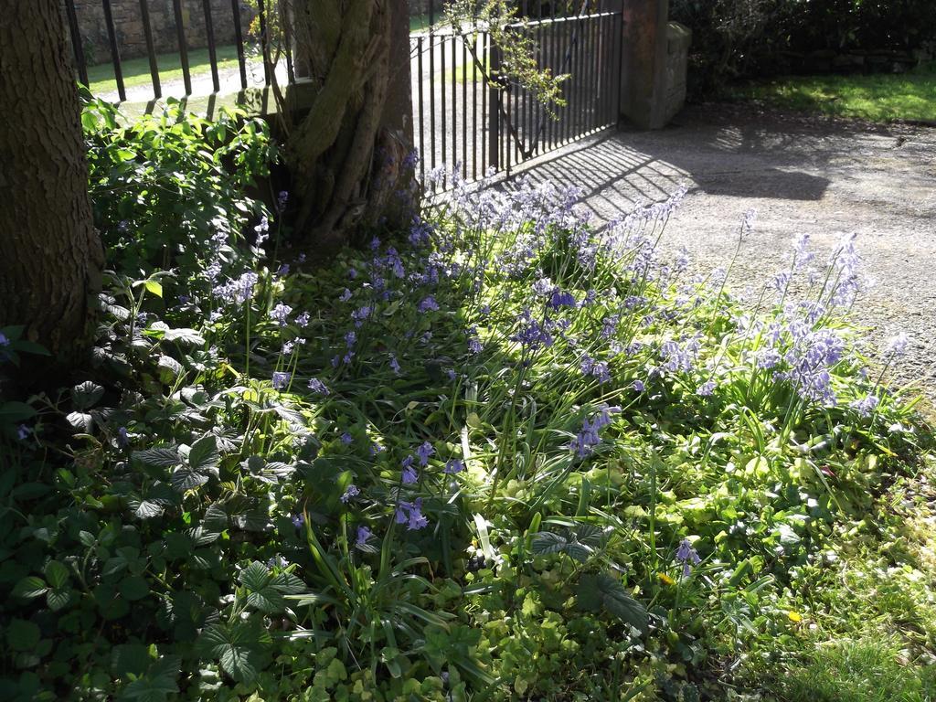Kirkpatrick House Bed and Breakfast Gretna Green Esterno foto