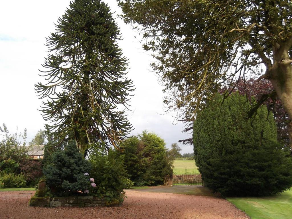 Kirkpatrick House Bed and Breakfast Gretna Green Esterno foto