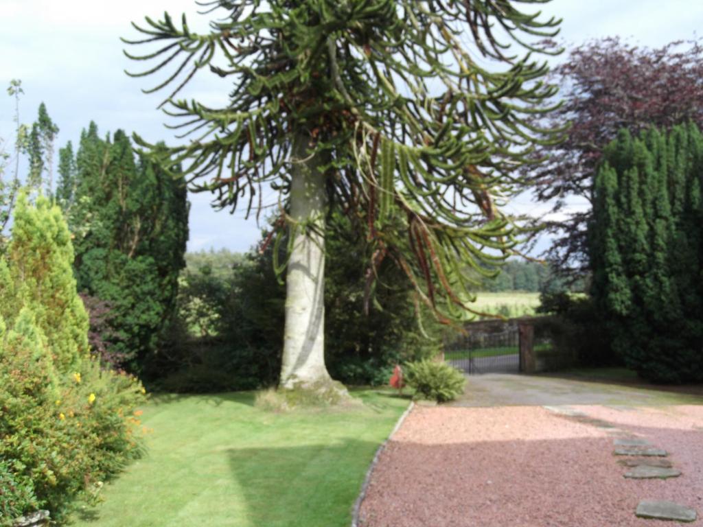 Kirkpatrick House Bed and Breakfast Gretna Green Esterno foto